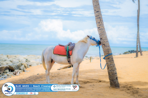 IEEE-Beach-Clean Up-1-of-127-scaled